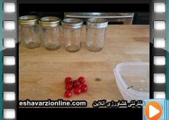 آموزش کاشت گوجه فرنگی در منزل به روش هیدروپونیک